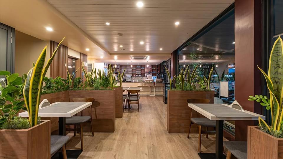 הולהומאל Hotel Star Shell מראה חיצוני תמונה