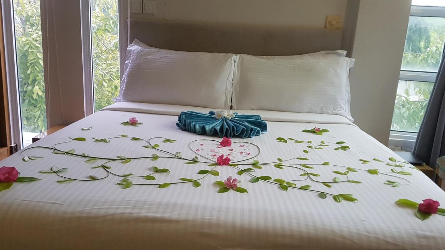 הולהומאל Hotel Star Shell מראה חיצוני תמונה